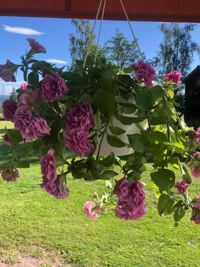 Mysigt Boende I Raettvik Med Utsikt Oever Siljan Экстерьер фото