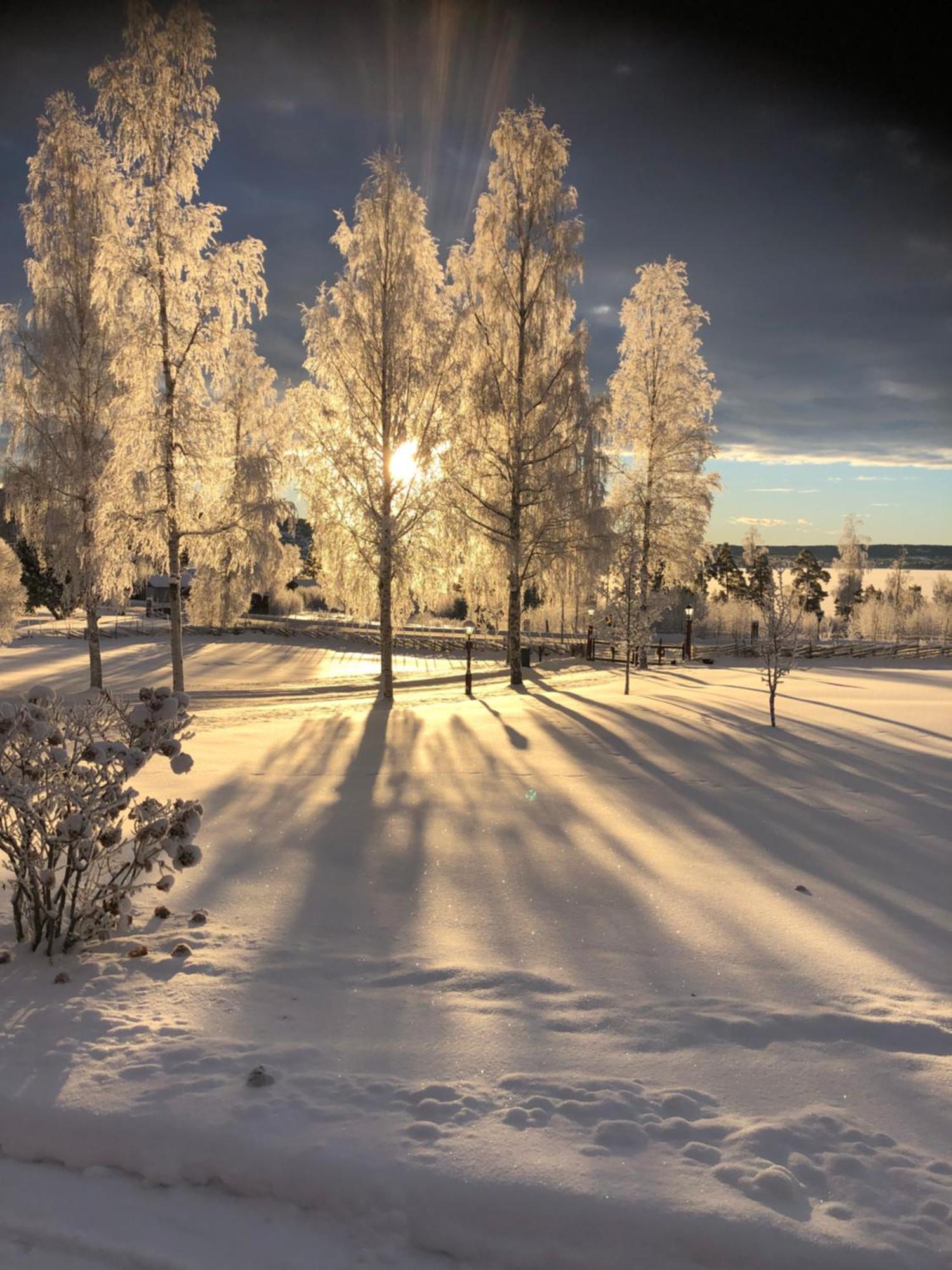 Mysigt Boende I Raettvik Med Utsikt Oever Siljan Экстерьер фото